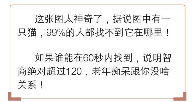 谁能在60秒内找出这只猫,能看出来的人绝对不一般!