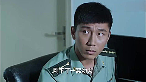 神犬奇兵-杨烁为了让谢连城振作起来,竟然把它拿出来换幼犬!