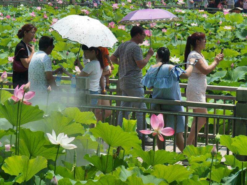 第十四届洛阳会盟荷花节开幕