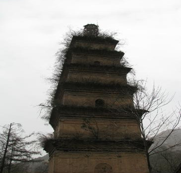 聖壽寺建造於隋代仁壽年間(601～604),據說隋煬帝的母親曾在聖壽寺