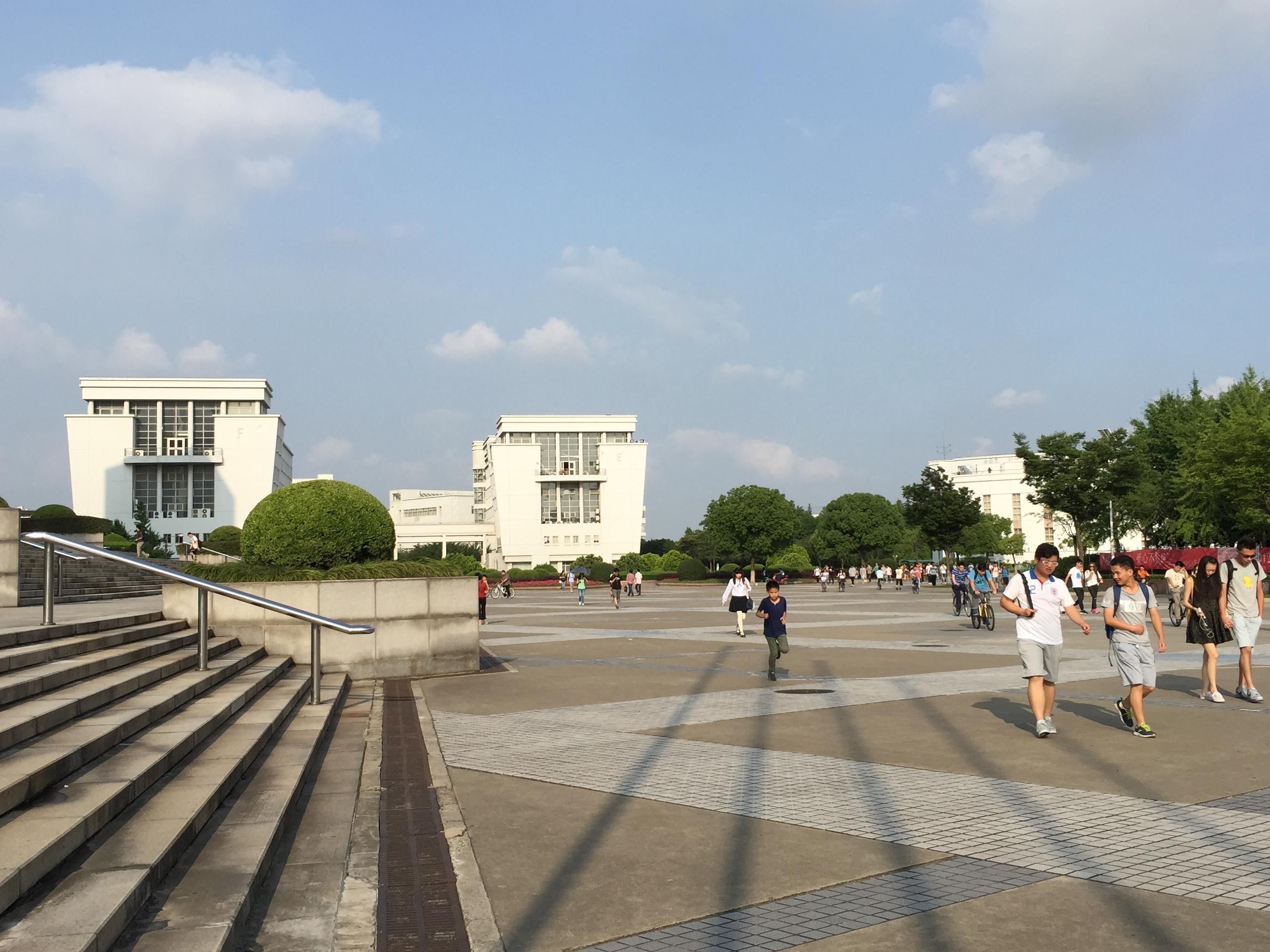 聚焦嘉定区首页，探寻数字化转型新路径与发展蓝图