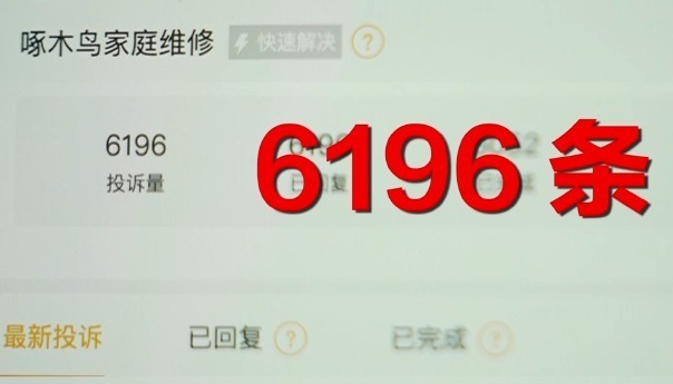 维修刺客啄木鸟